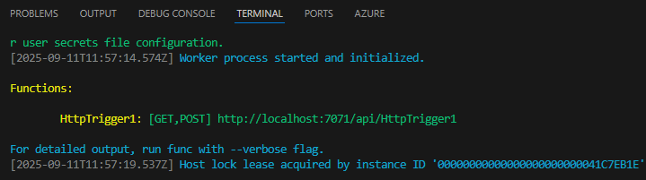 App starts in Terminal panel